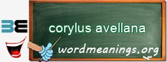 WordMeaning blackboard for corylus avellana
